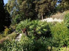 183 HYERES ET SES PALMIERS D02_000017